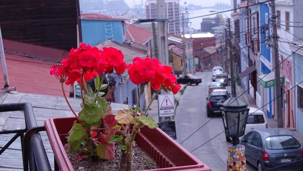 Hostal Destino Bellavista Valparaíso Eksteriør billede